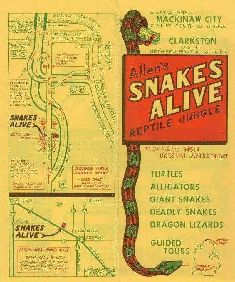 Snakes Alive - Old Flyer (newer photo)
